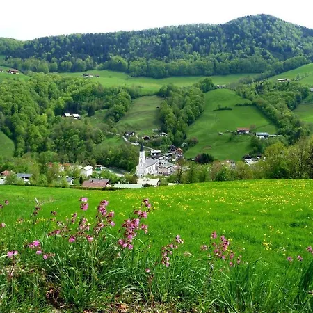 Farm stay Haus Steinlehen Fuchs *
